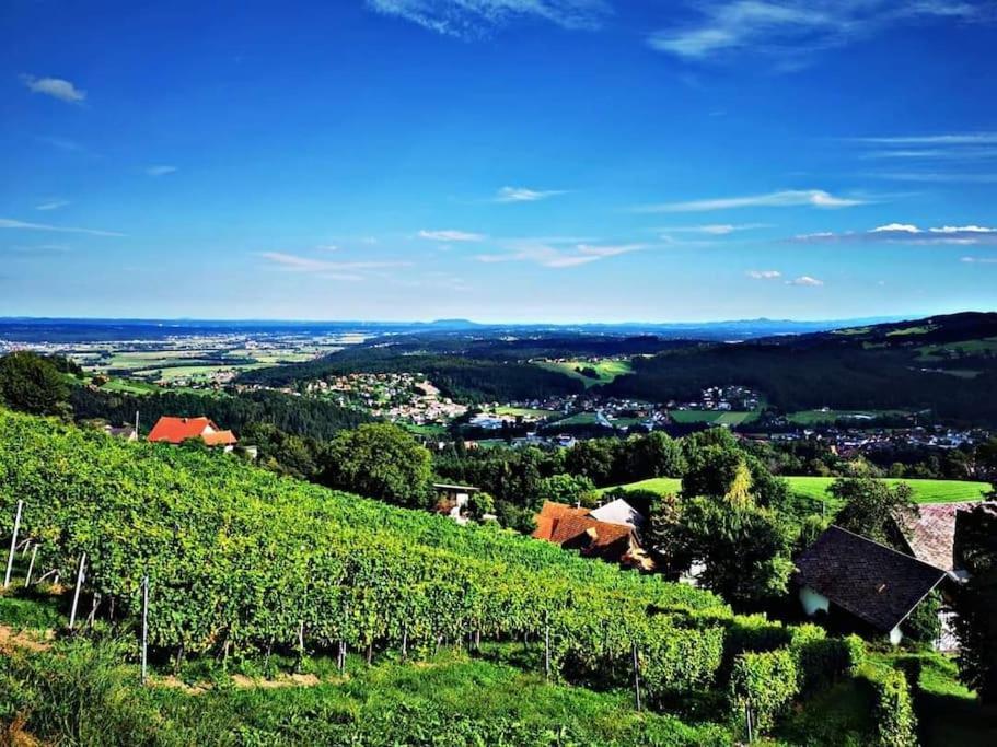 Wiednermichl - Urlaub In Den Weinbergen Krottendorf bei Ligist Екстер'єр фото